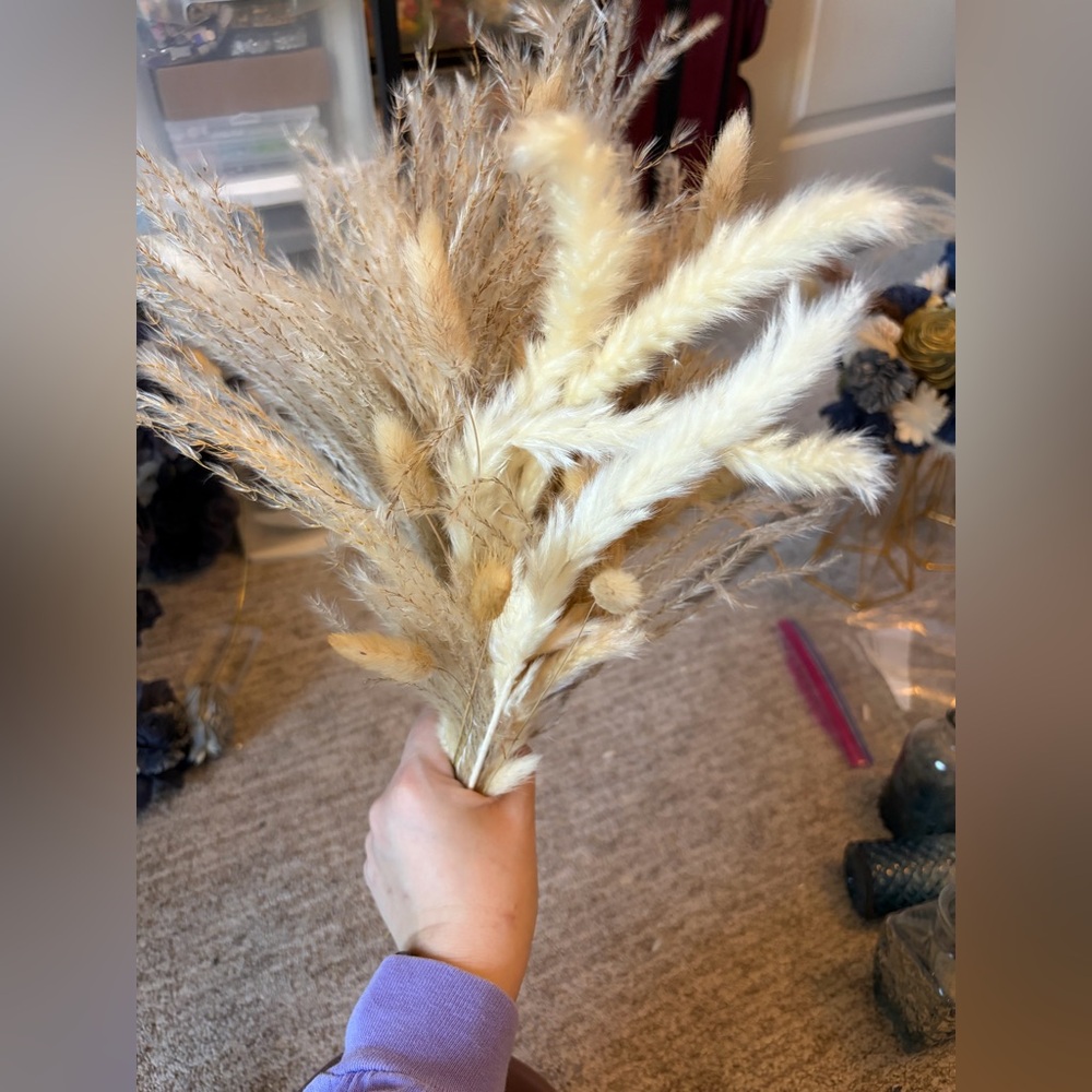 Dried Pampas